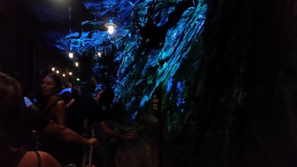 Enchanted Forest Ride Interior