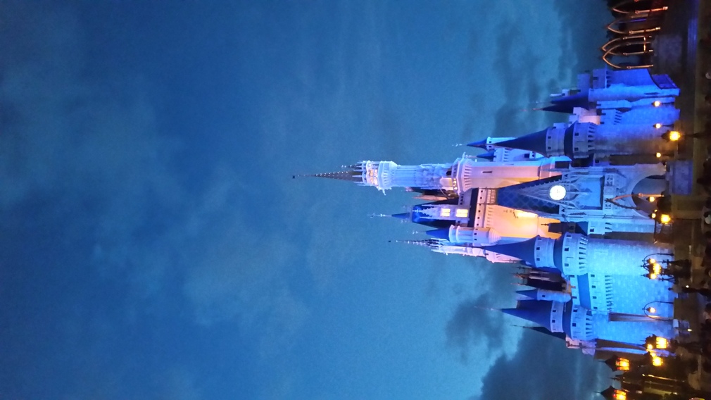 Cinderella Castle at Night