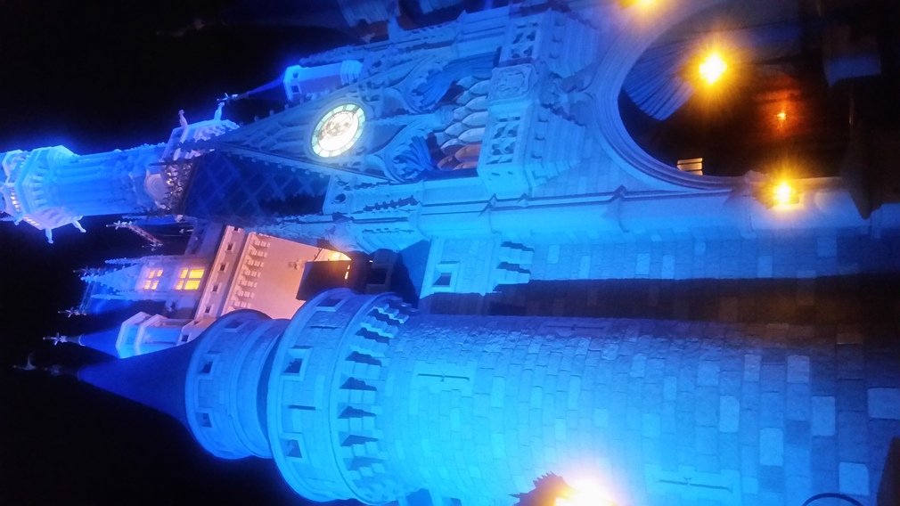 Disney Castle at Night