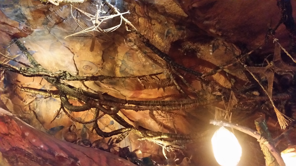 Tree Roots and Rock Formation