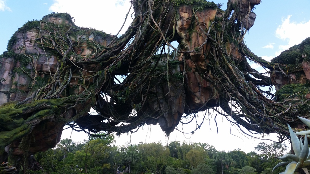 Tree of Life at Disney's Animal Kingdom