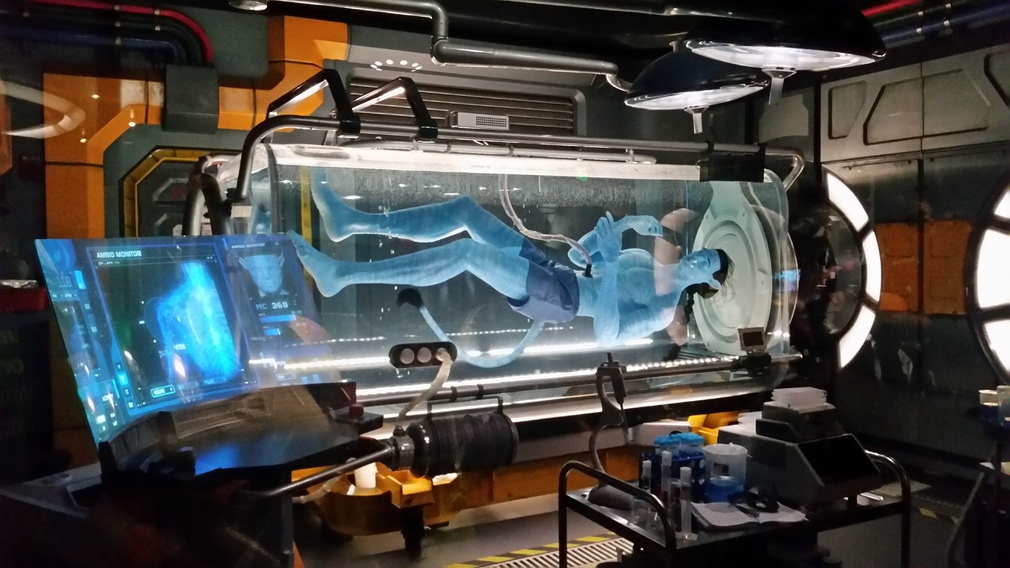 Avatar: The Experience at Disney's Animal Kingdom