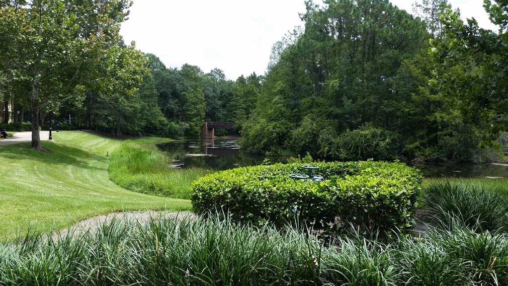 Serene Park with Pond and Bridge