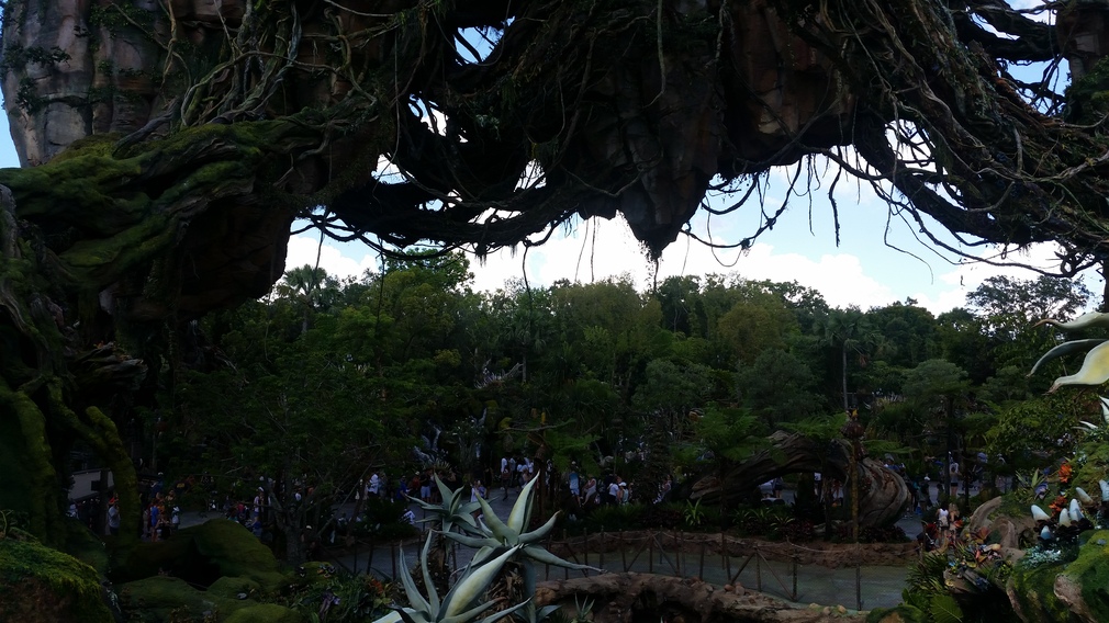 Pandora - The World of Avatar at Disney's Animal Kingdom